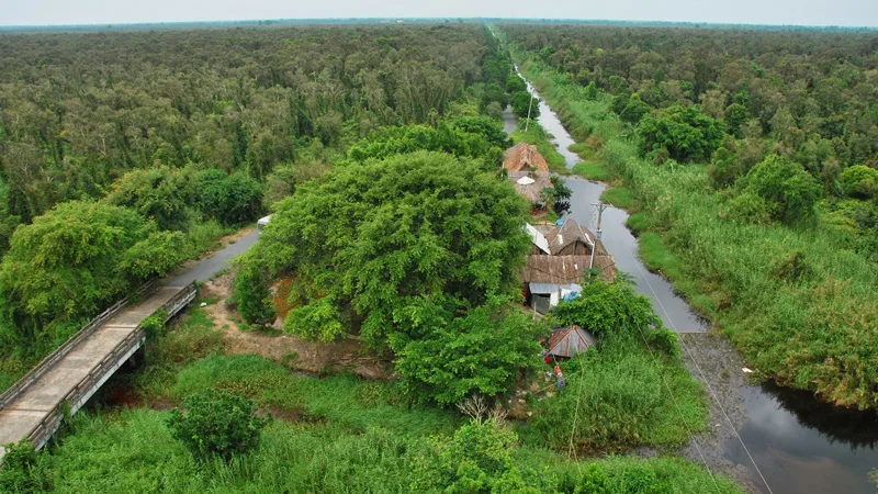 Rừng tràm U Minh Thượng Mê cung xanh thẳm và huyền bí 4