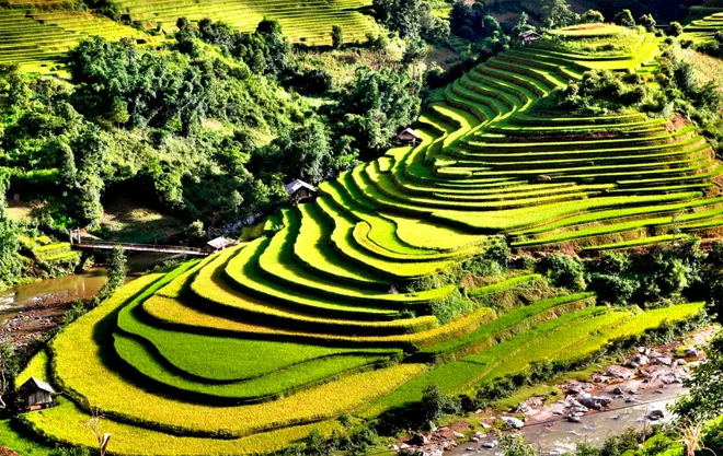 Ruộng bậc thang Mù Cang Chải Bậc thang lên mây của Tây Bắc 3