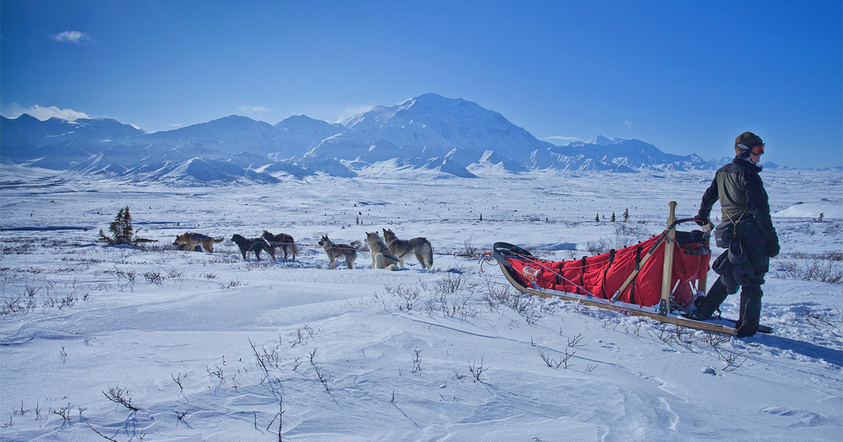 Khám phá vẻ đẹp hoang sơ của alaska qua hành trình du lịch mùa đông 3