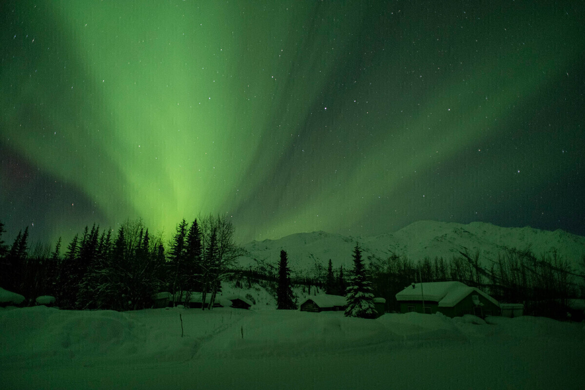 Khám phá vẻ đẹp hoang sơ của alaska qua hành trình du lịch mùa đông 4